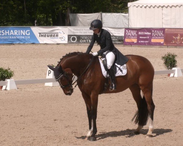 Reitturnier Karlsfeld/Obb. 2024