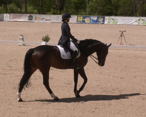 Reitturnier Karlsfeld/Obb. 2024