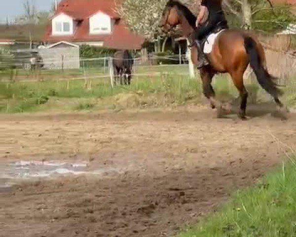 Video of Nechrista