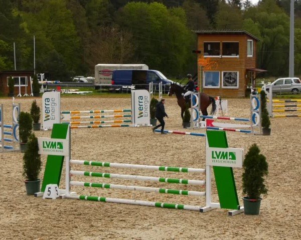 Reitturnier Bad Liebenstein/Sorga 2024