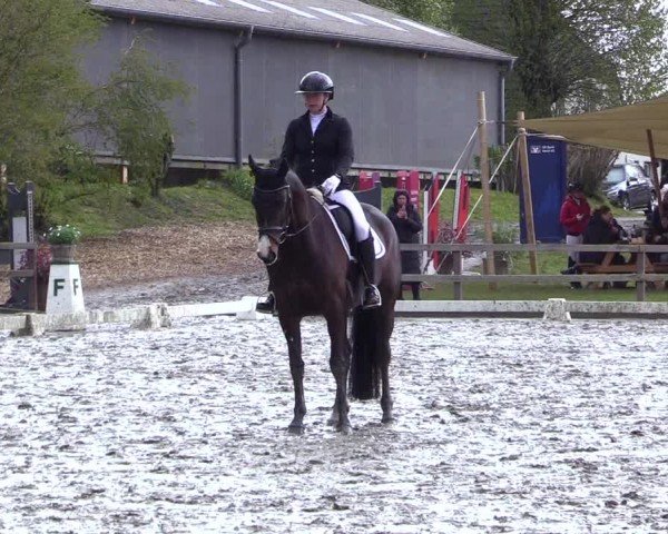 Reitturnier Ladelunder Turniertage 2024