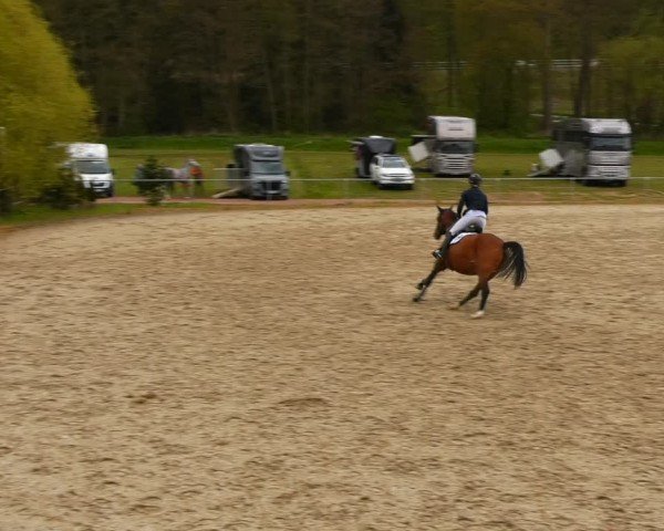 Reitturnier Bad Liebenstein/Sorga 2024