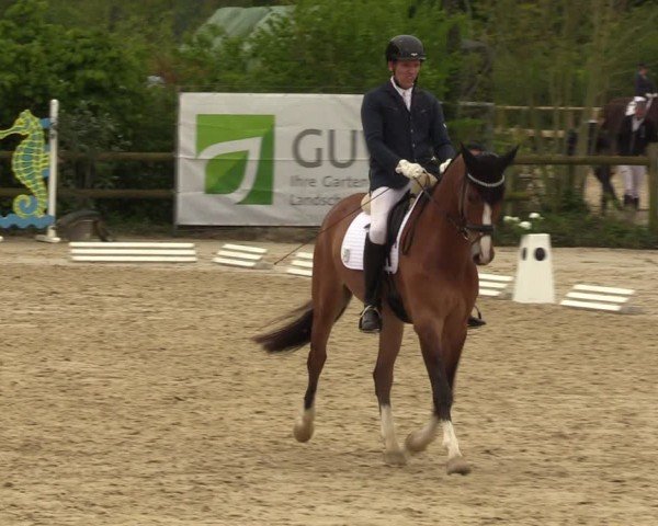 Reitturnier Nienberge 2024