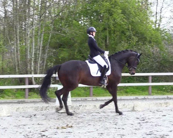 Reitturnier Ladelunder Turniertage 2024