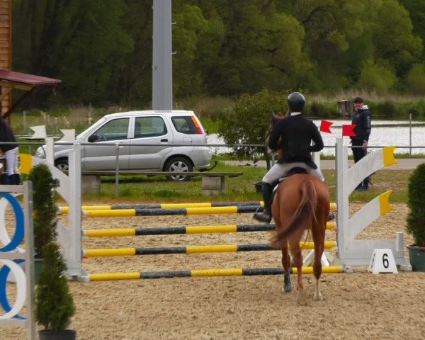 Reitturnier Bad Liebenstein/Sorga 2024