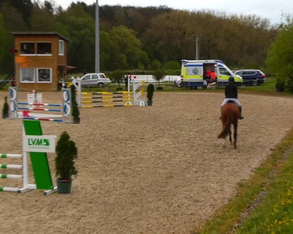 Reitturnier Bad Liebenstein/Sorga 2024