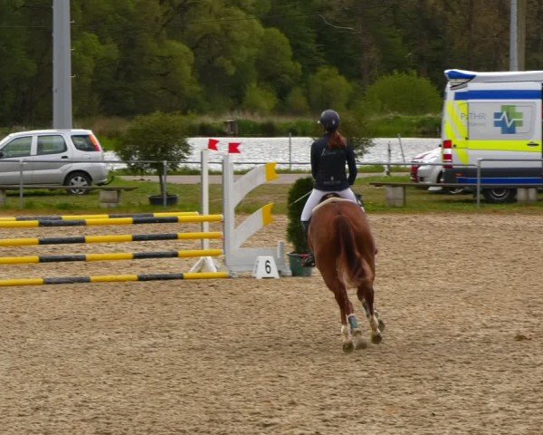 Reitturnier Bad Liebenstein/Sorga 2024
