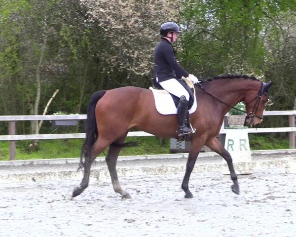 Reitturnier Ladelunder Turniertage 2024