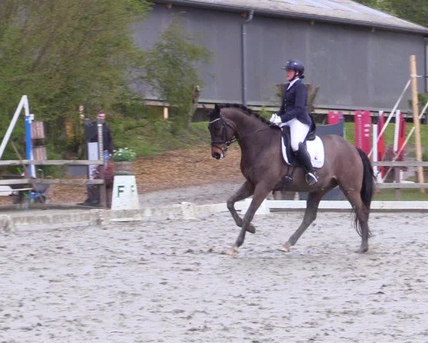 Reitturnier Ladelunder Turniertage 2024
