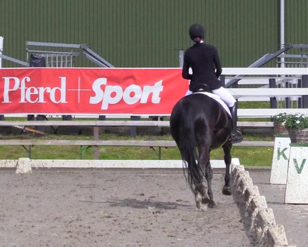 Reitturnier Ladelunder Turniertage 2024
