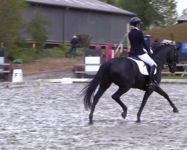 Reitturnier Ladelunder Turniertage 2024