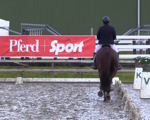 Reitturnier Ladelunder Turniertage 2024