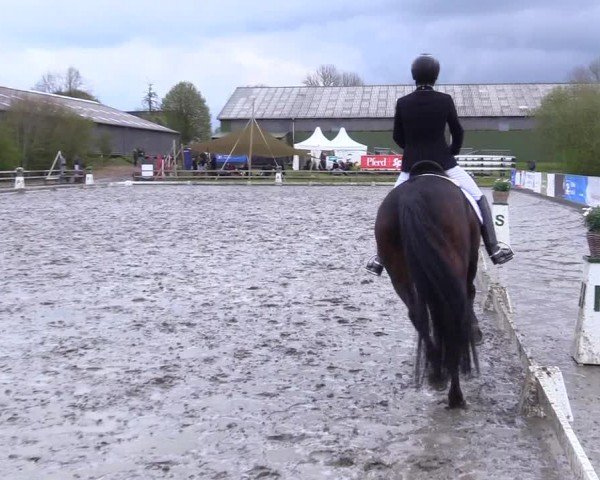 Reitturnier Ladelunder Turniertage 2024