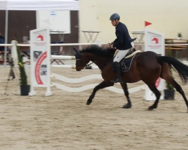 Reitturnier Großostheim/Ufr. 2024