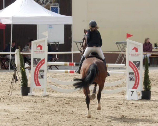 Reitturnier Großostheim/Ufr. 2024