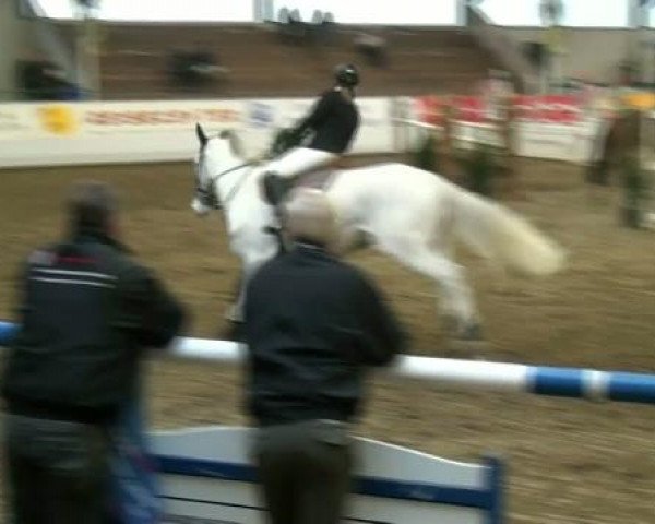 Hallenspringturnier Borken 2012