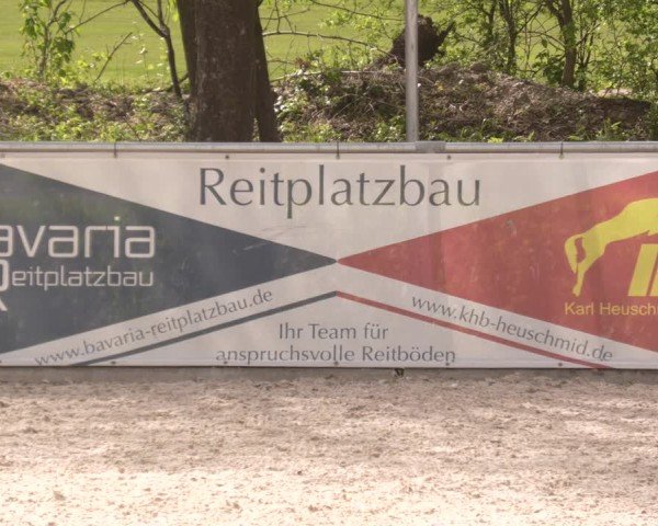 Reitturnier Karlsfeld/Obb. 2024