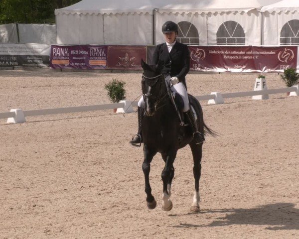 Reitturnier Karlsfeld/Obb. 2024