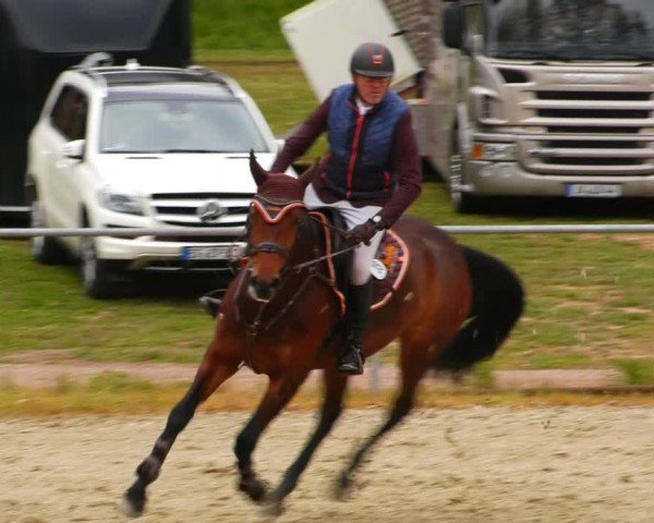 Reitturnier Bad Liebenstein/Sorga 2024