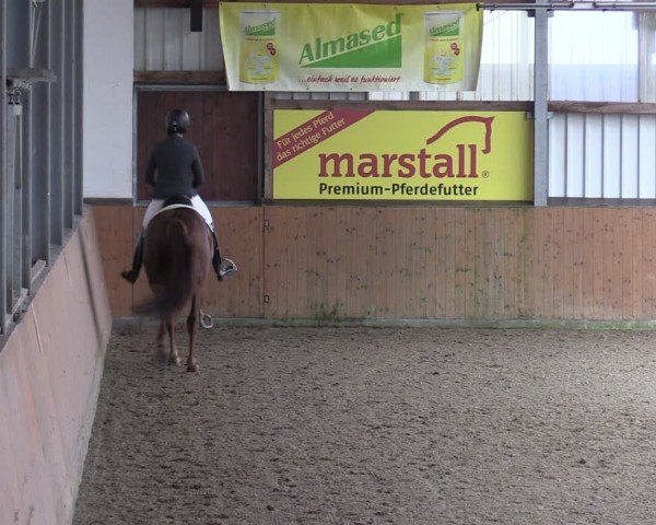 Reitturnier Schlieckau 2024