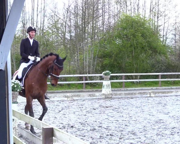 Reitturnier Ladelunder Turniertage 2024