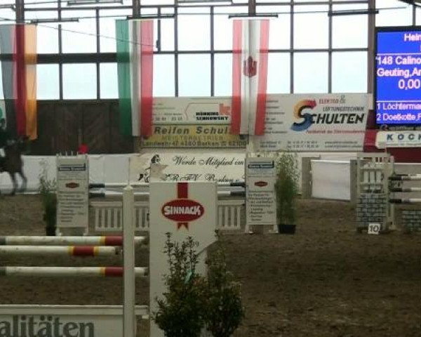 Hallenspringturnier Borken 2012
