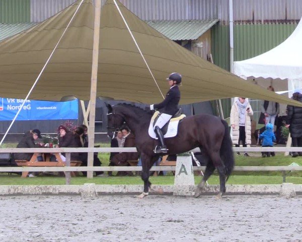 Reitturnier Ladelunder Turniertage 2024