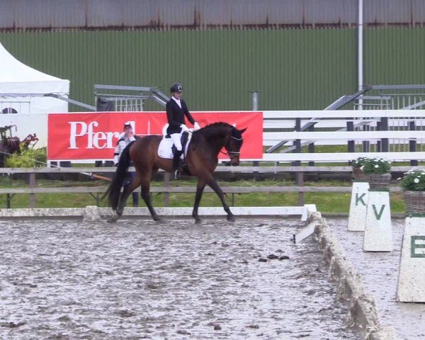 Reitturnier Ladelunder Turniertage 2024