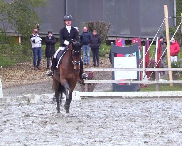 Reitturnier Ladelunder Turniertage 2024