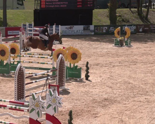 FEI Springturnier Stadl Paura 2024