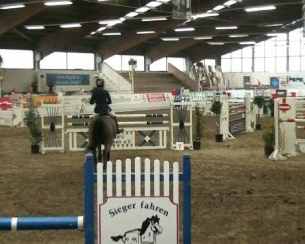 Hallenspringturnier Borken 2012
