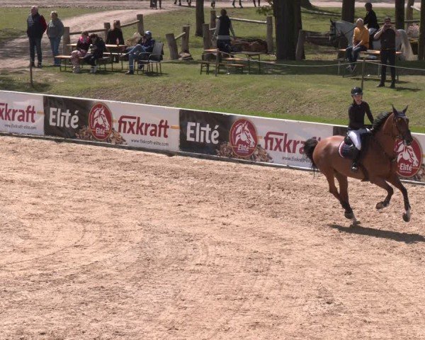 FEI Springturnier Stadl Paura 2024