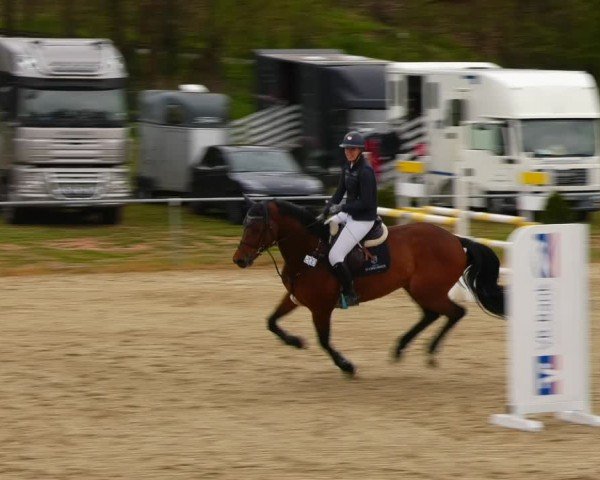 Reitturnier Bad Liebenstein/Sorga 2024