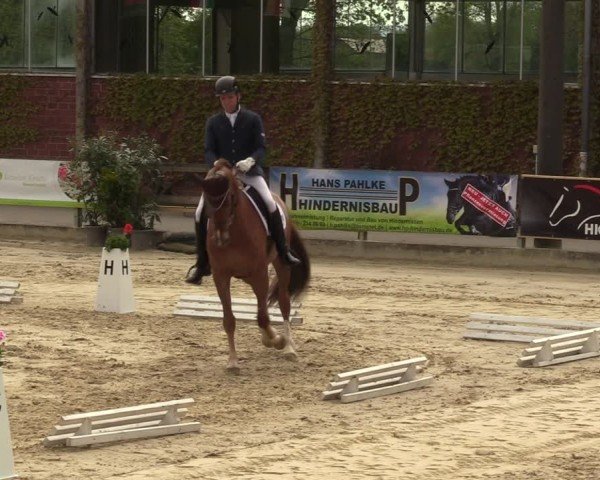 Reitturnier Nienberge 2024