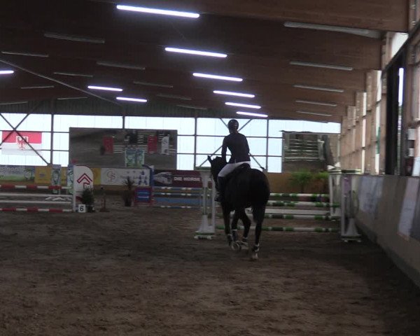 Reitturnier Pausin 2021