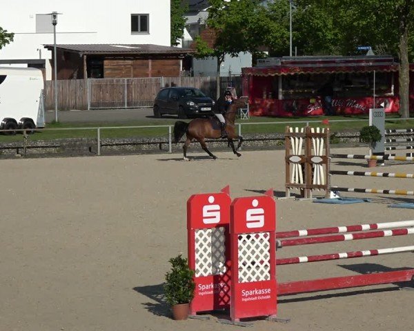 Reitturnier Ingolstadt-Hagau/Obb. 2024