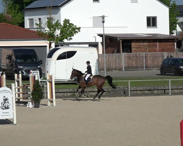 Reitturnier Ingolstadt-Hagau/Obb. 2024