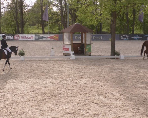 Reitturnier Karlsfeld/Obb. 2024