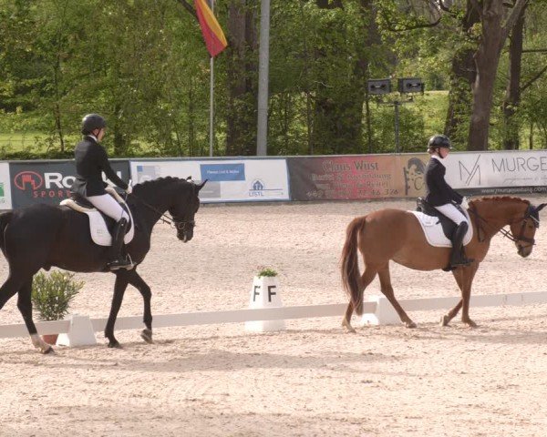 Reitturnier Karlsfeld/Obb. 2024