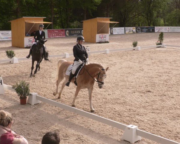Reitturnier Karlsfeld/Obb. 2024