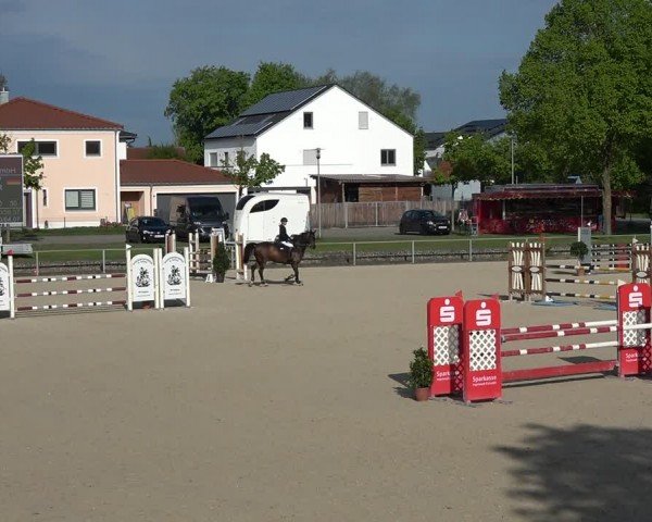 Reitturnier Ingolstadt-Hagau/Obb. 2024