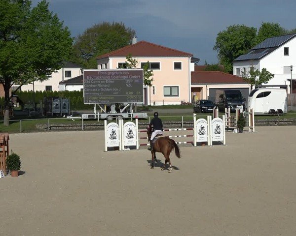 Reitturnier Ingolstadt-Hagau/Obb. 2024