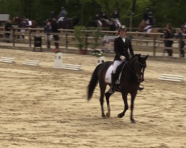 Reitturnier Nienberge 2024