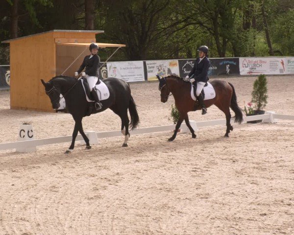 Reitturnier Karlsfeld/Obb. 2024