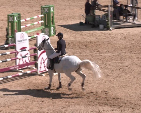 FEI Springturnier Stadl Paura 2024