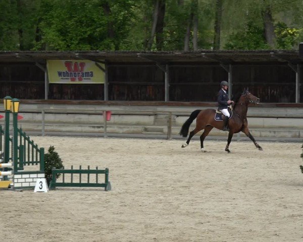 Reitturnier Ingolstadt-Hagau/Obb. 2024
