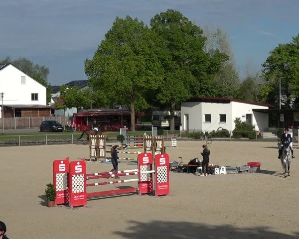 Reitturnier Ingolstadt-Hagau/Obb. 2024