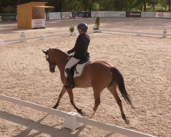 Reitturnier Karlsfeld/Obb. 2024
