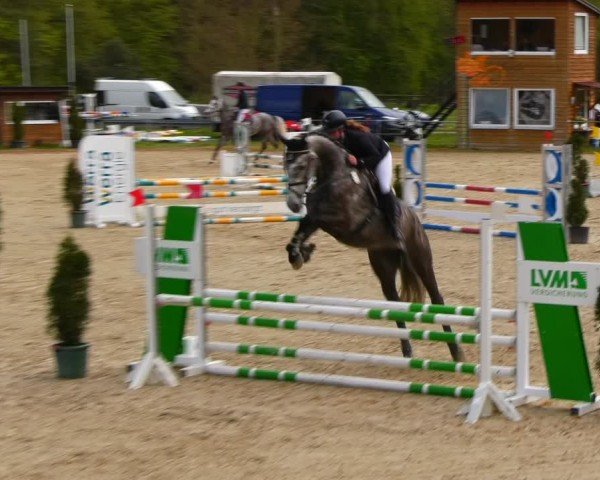 Reitturnier Bad Liebenstein/Sorga 2024