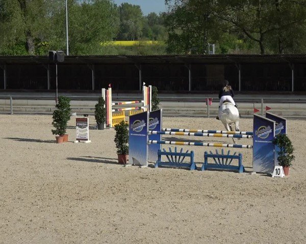 Reitturnier Ingolstadt-Hagau/Obb. 2024